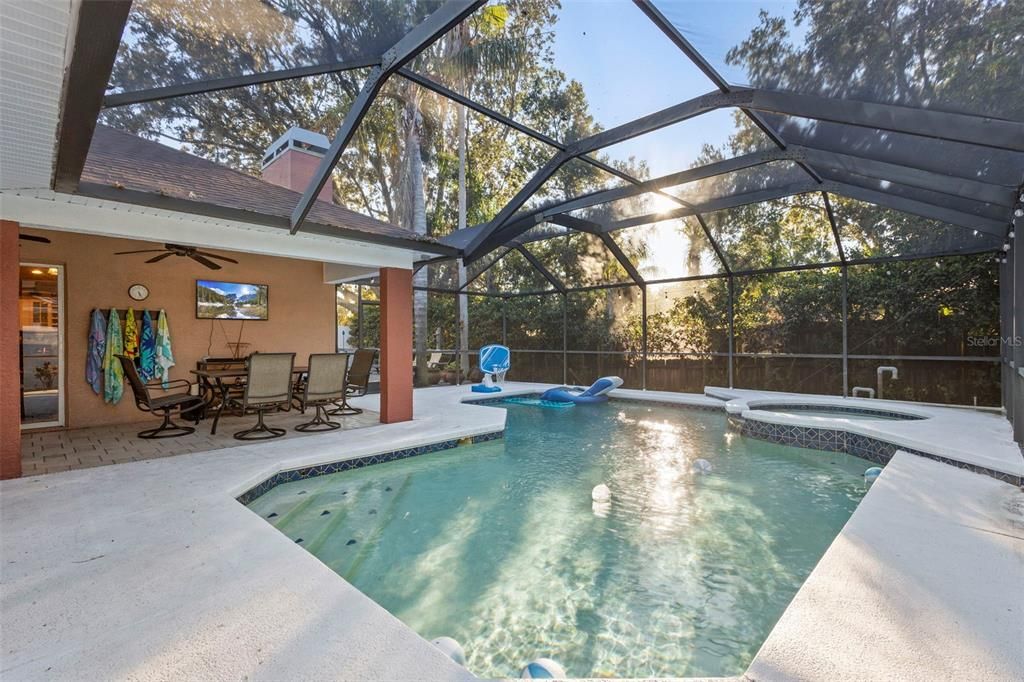 Glass Ceilings, Interior, Pool, Sun Room