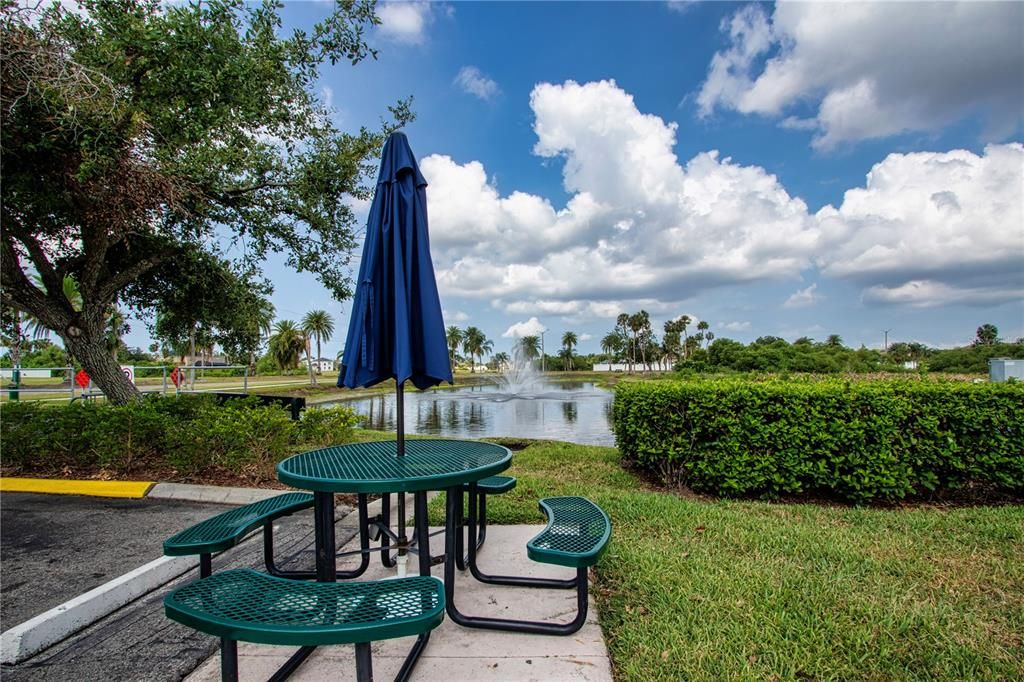 Backyard, Exterior, Water