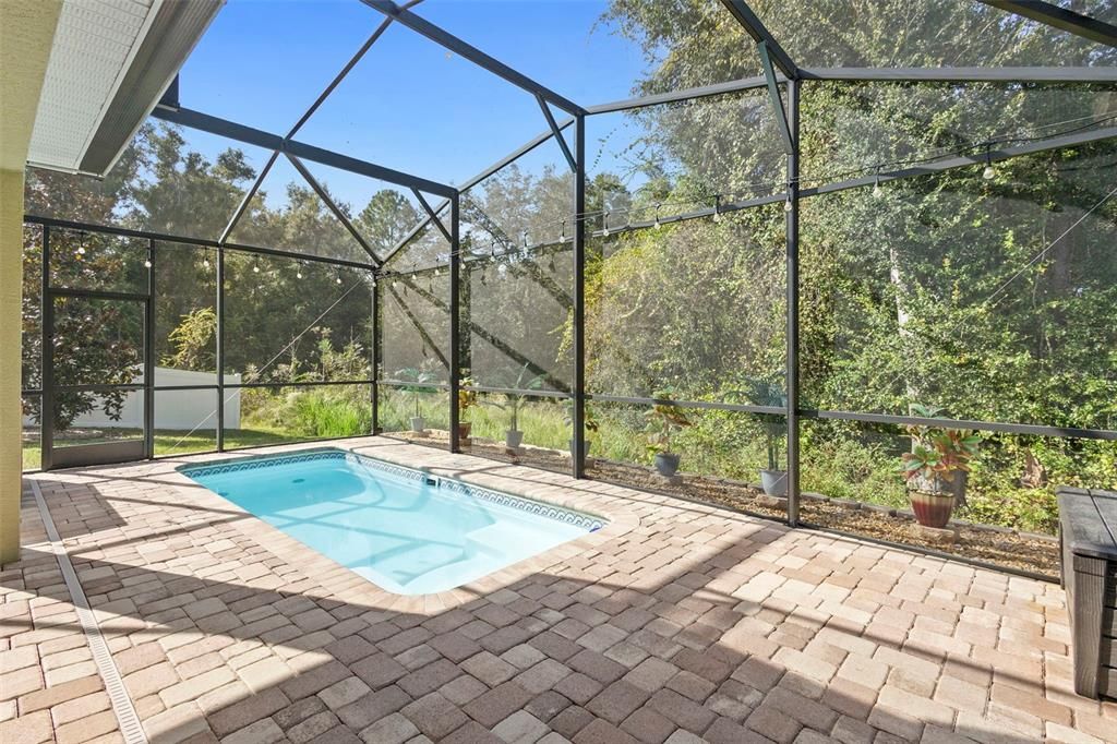 Glass Ceilings, Interior, Pool, Sun Room