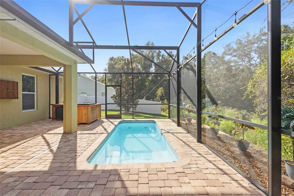 Glass Ceilings, Interior, Pool, Sun Room