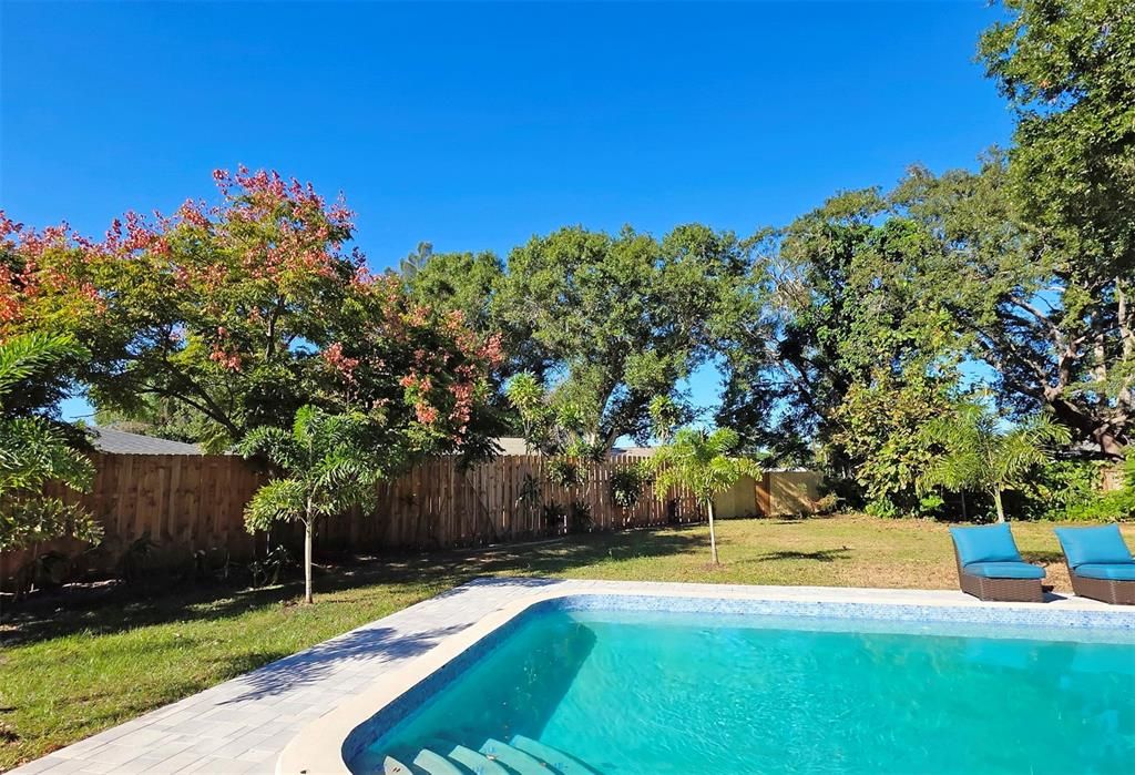 Backyard, Exterior, Pool