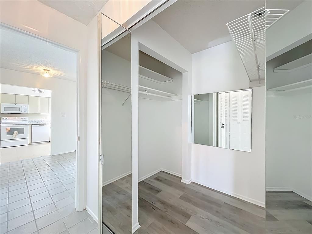 Interior, Walk-in Closets, Wood Texture Flooring