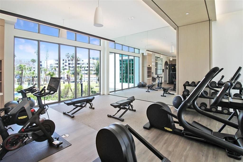 Fitness Equipment, Gym, Interior, Recessed Lighting, Wood Texture Flooring