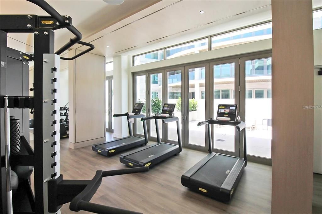 Fitness Equipment, Gym, Interior, Wood Texture Flooring