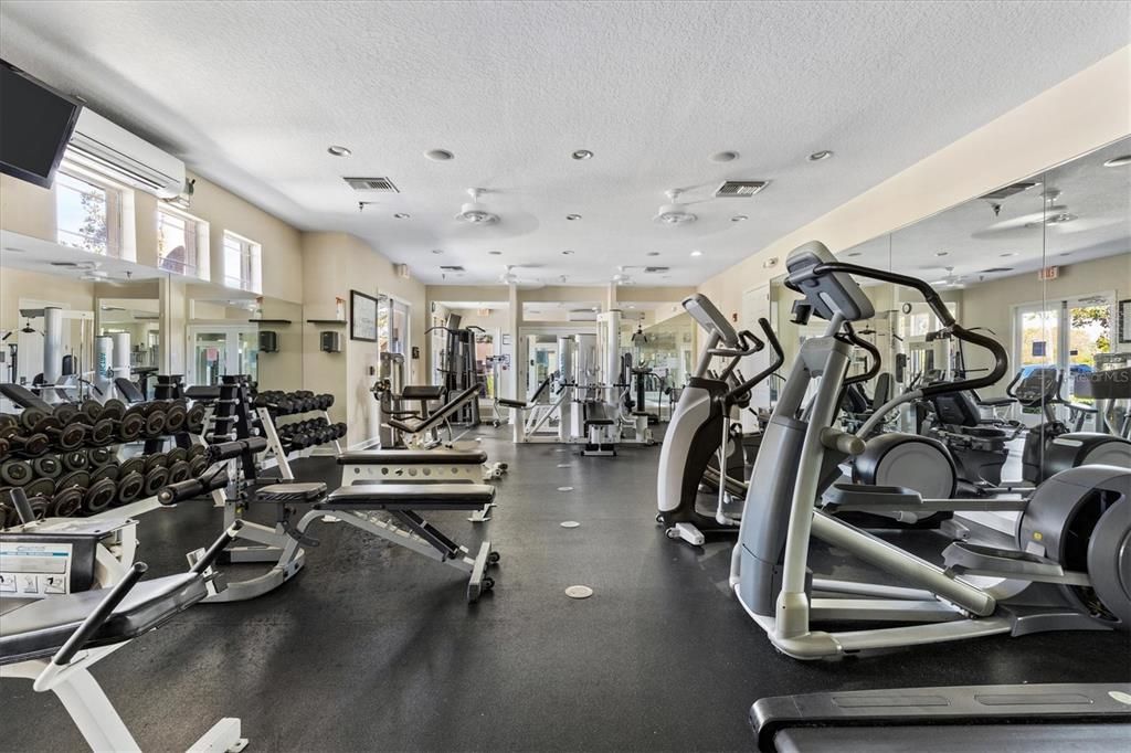 Fitness Equipment, Gym, Interior, Recessed Lighting