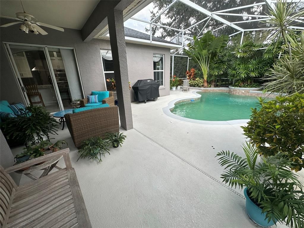 Glass Ceilings, Interior, Pool, Sun Room