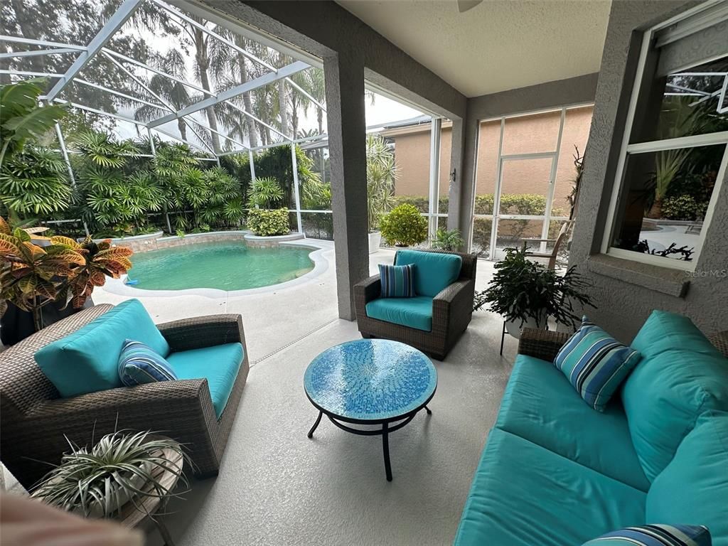 Glass Ceilings, Interior, Living room, Pool, Sun Room