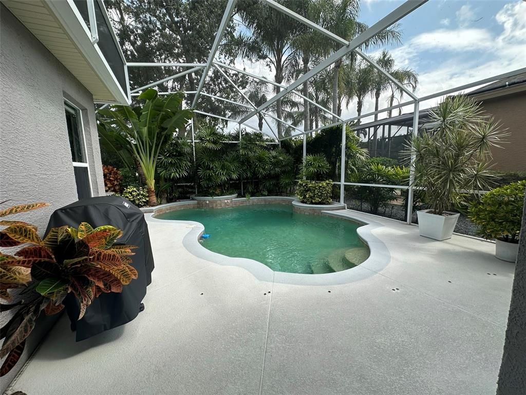 Glass Ceilings, Interior, Pool, Sun Room