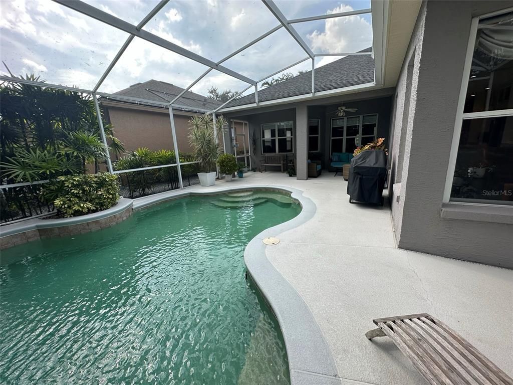 Glass Ceilings, Interior, Pool, Sun Room