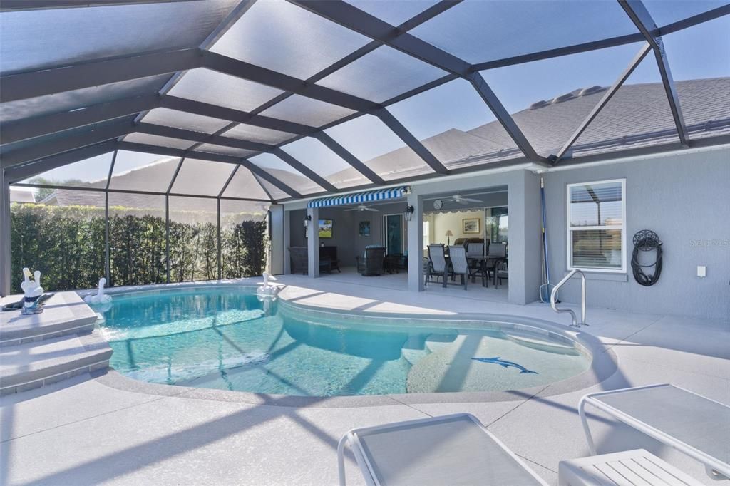 Glass Ceilings, Interior, Pool, Sun Room