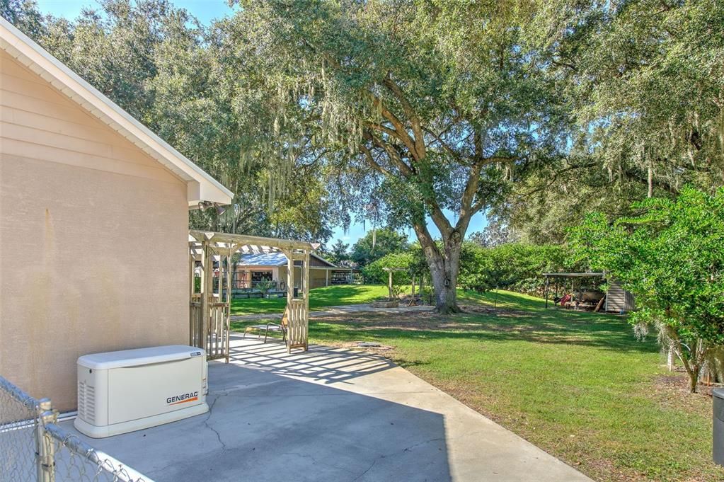 Backyard, Exterior, Playground