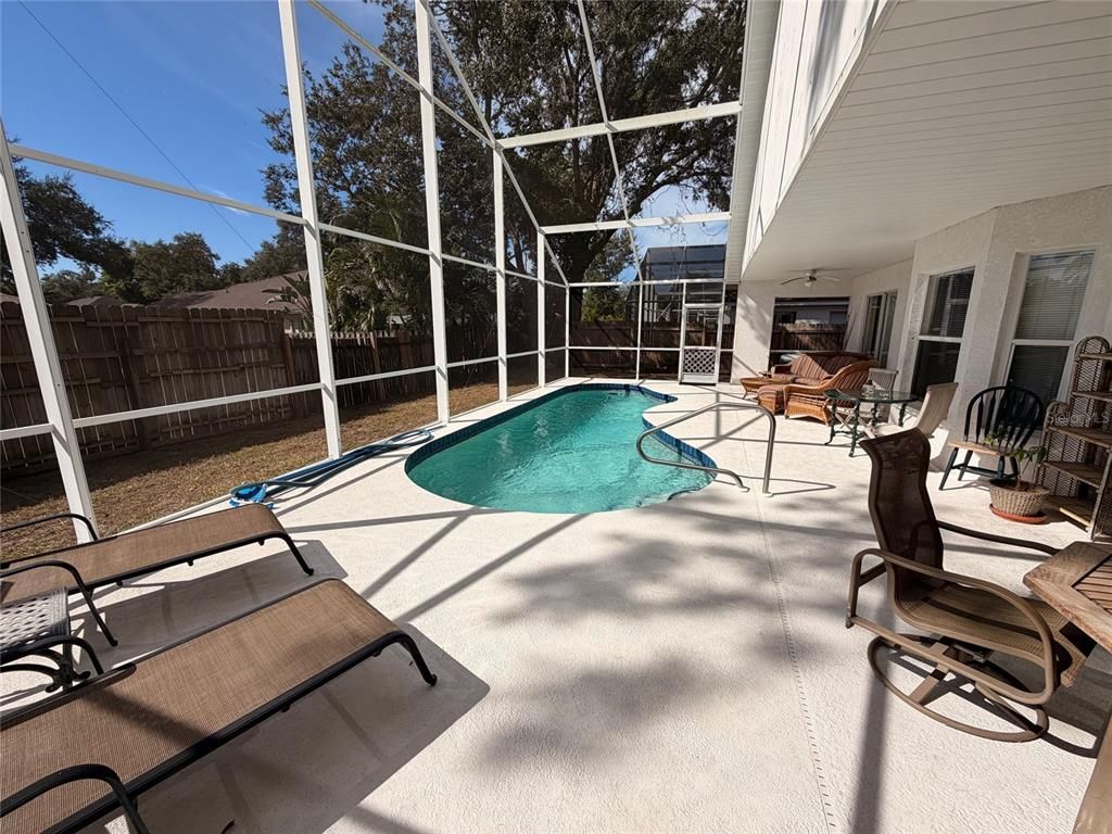 Glass Ceilings, Interior, Pool, Sun Room