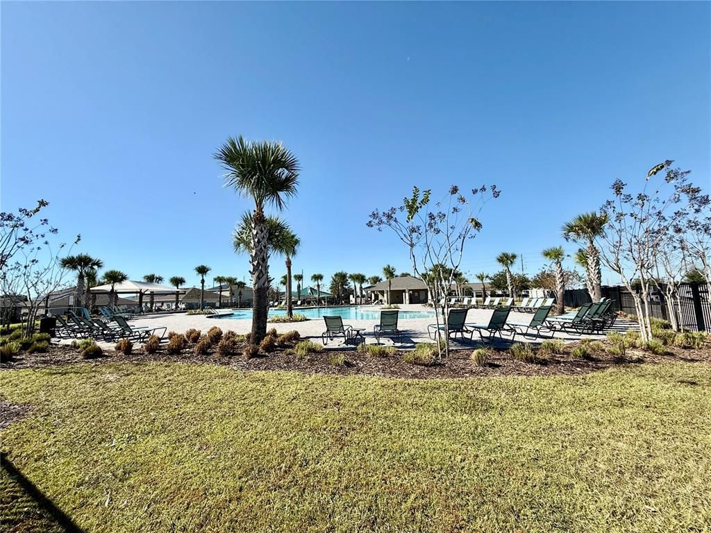 Backyard, Exterior, Pool