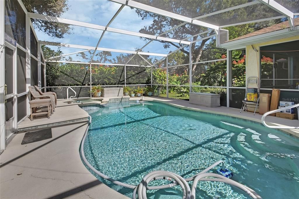 Glass Ceilings, Interior, Pool, Sun Room