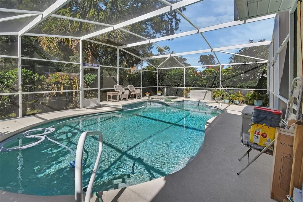 Glass Ceilings, Interior, Pool, Sun Room