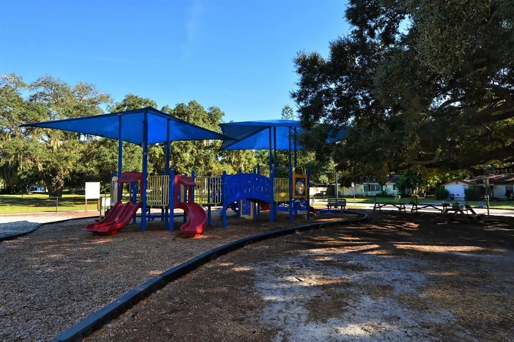 Backyard, Exterior, Playground