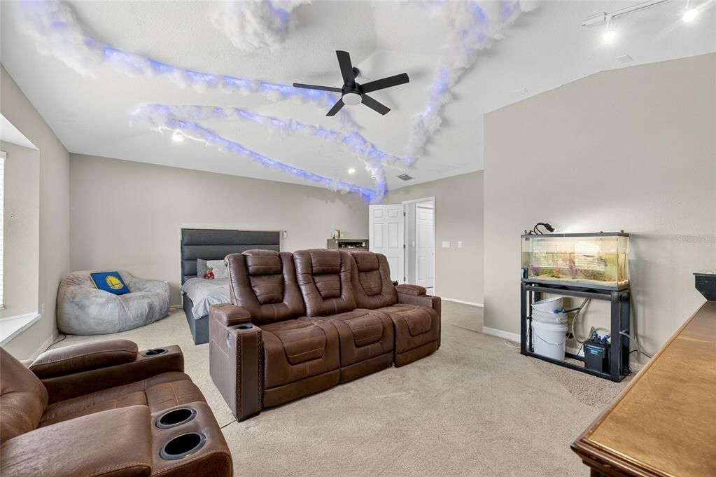 Home Theatre Room, Interior