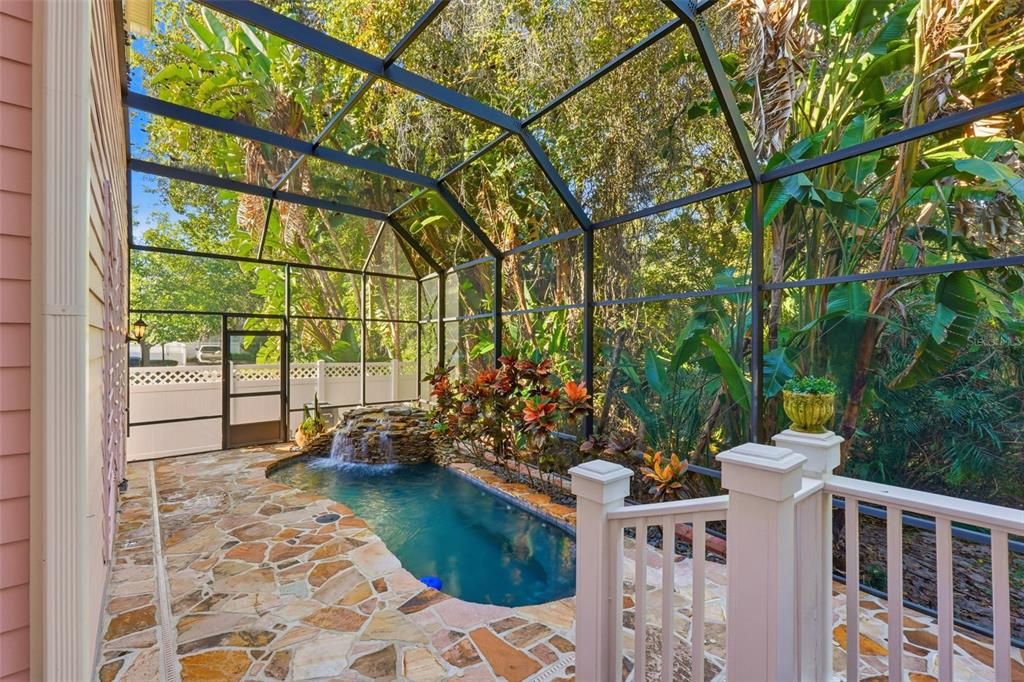 Glass Ceilings, Interior, Pool, Sun Room
