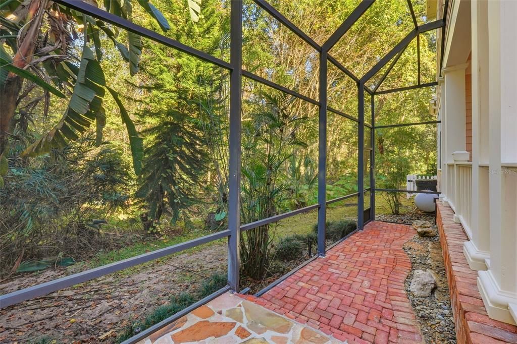 Glass Ceilings, Interior, Sun Room