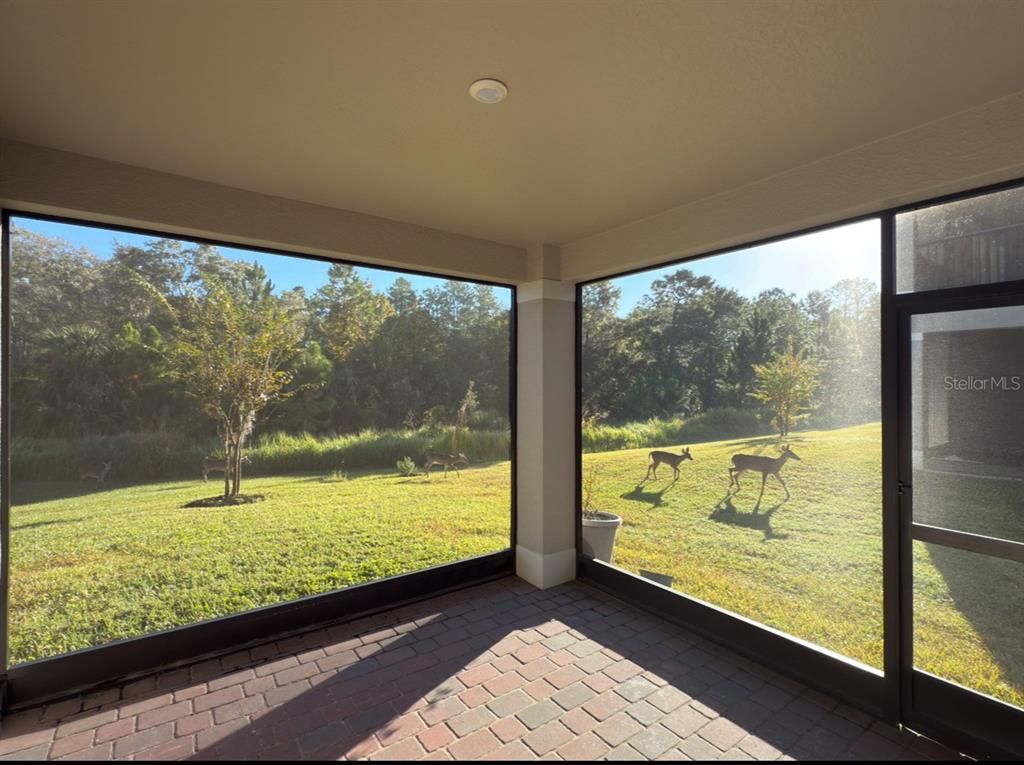 Empty room, Interior, Recessed Lighting, Sun Room