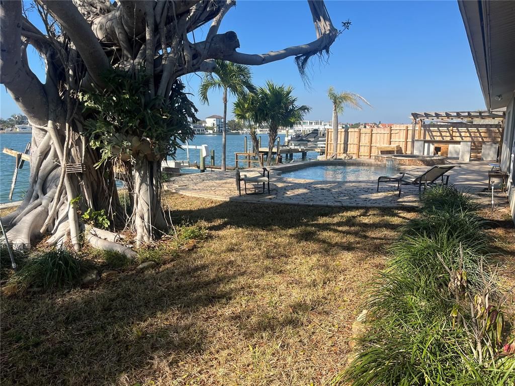 Backyard, Exterior, Pool, Water