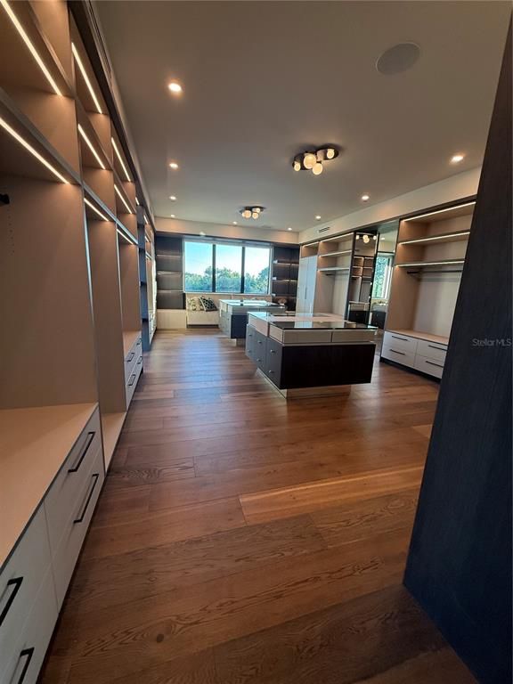 Interior, Recessed Lighting, Walk-in Closets, Wood Texture Flooring