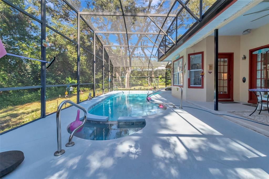 Glass Ceilings, Interior, Pool, Sun Room