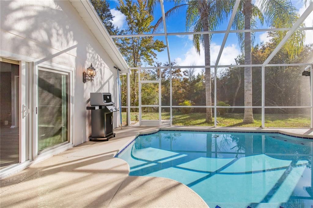 Glass Ceilings, Interior, Pool, Sun Room