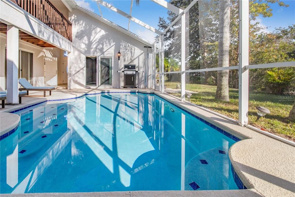 Glass Ceilings, Interior, Pool, Sun Room