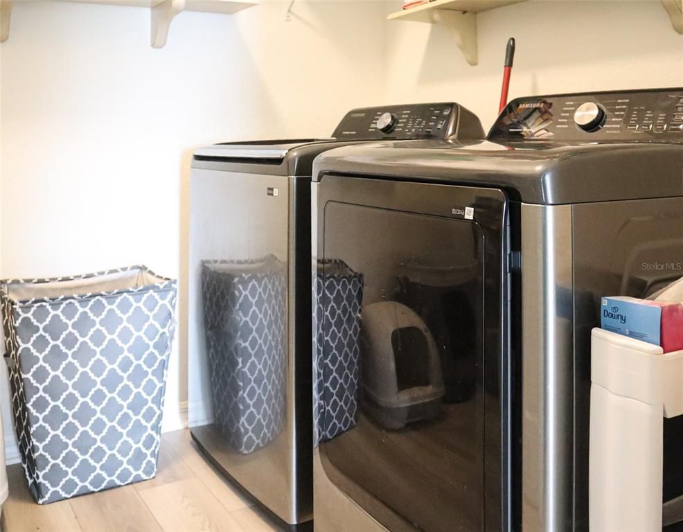 Interior, Washer, Wood Texture Flooring
