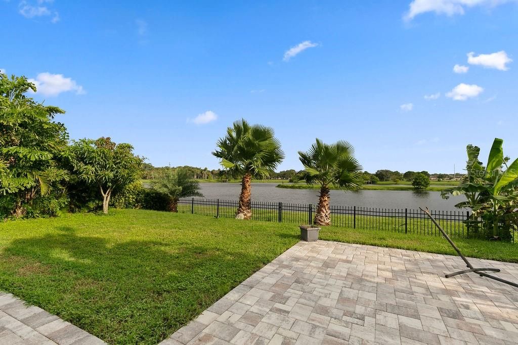 Backyard, Exterior, Water