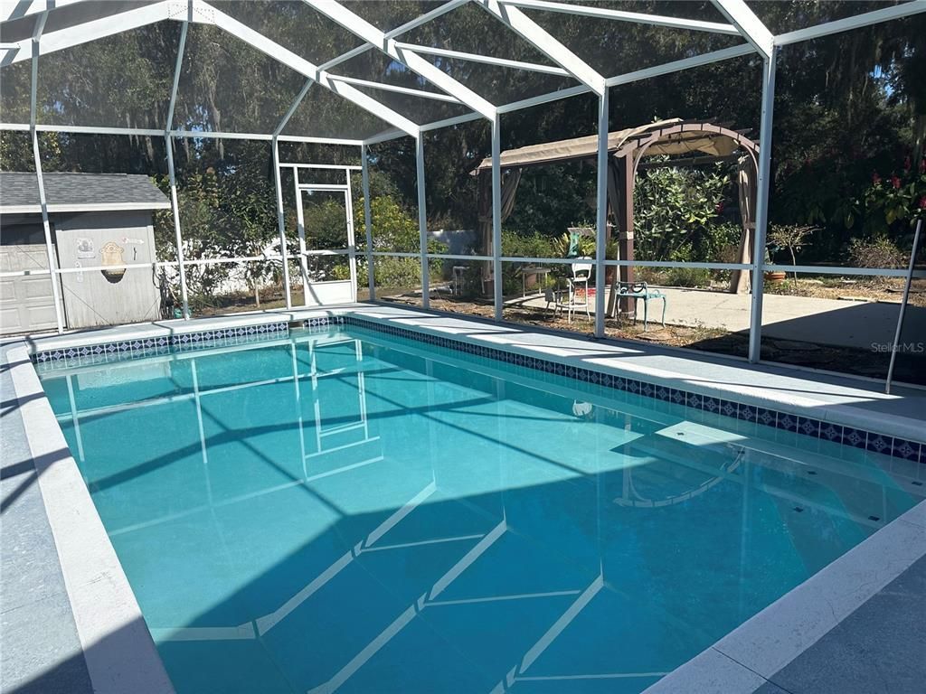 Glass Ceilings, Interior, Pool, Sun Room
