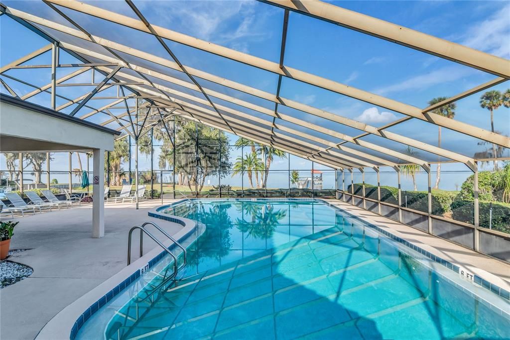 Glass Ceilings, Interior, Pool, Sun Room