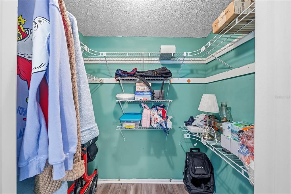 Interior, Walk-in Closets, Wood Texture Flooring