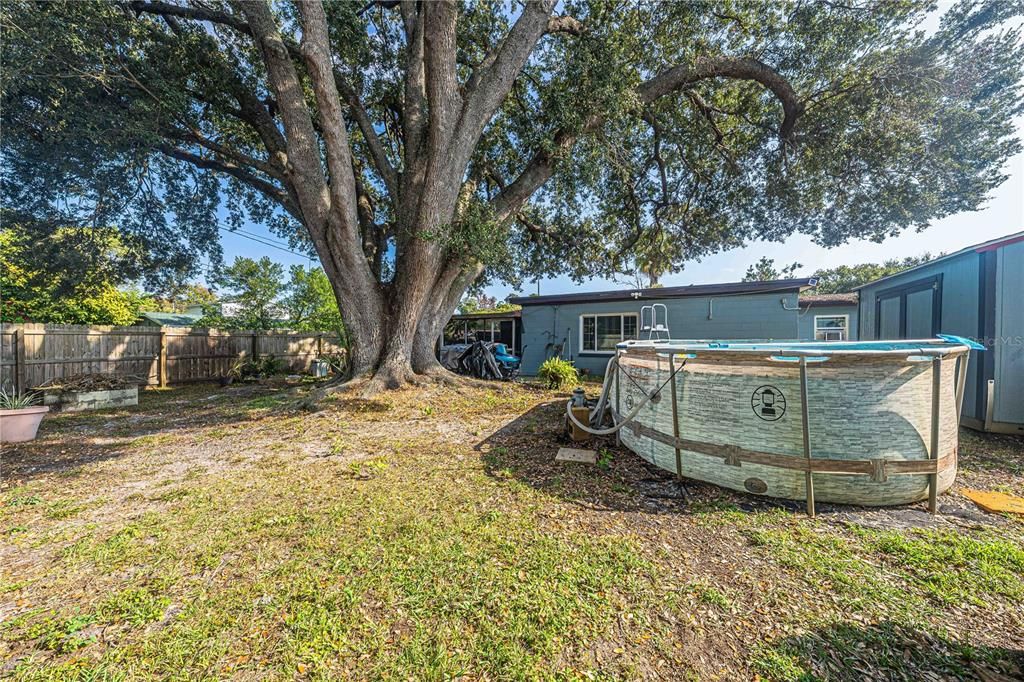 Backyard, Exterior, Pool