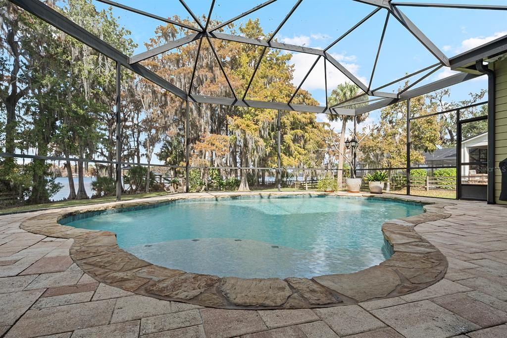 Glass Ceilings, Interior, Pool, Sun Room