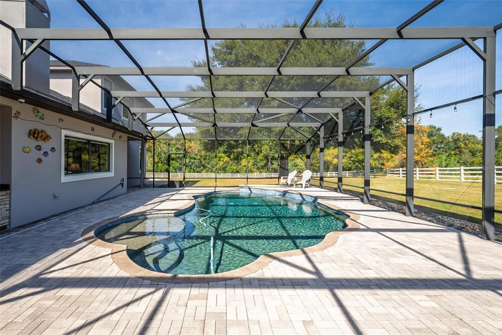 Glass Ceilings, Interior, Pool, Sun Room