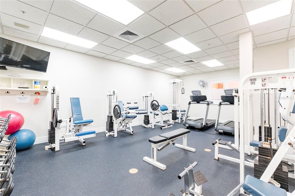 Fitness Equipment, Gym, Interior, Recessed Lighting