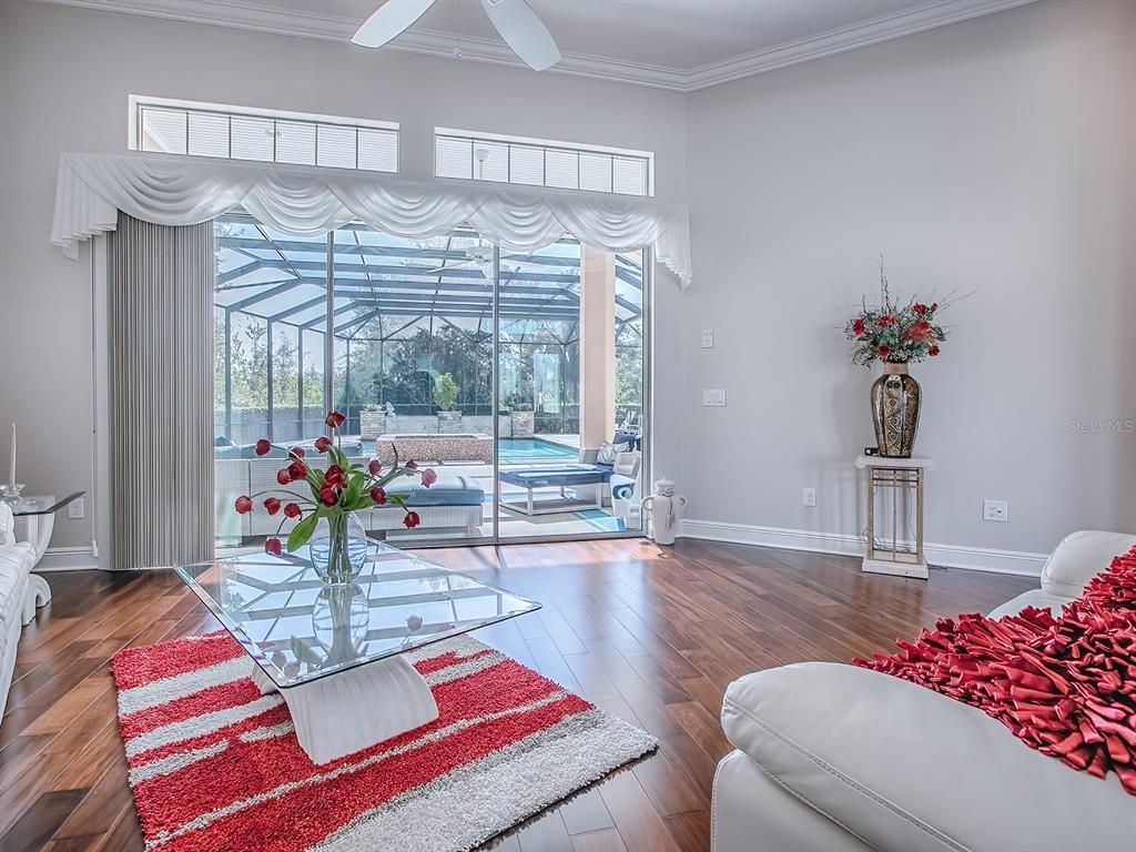 Interior, Living room, Sun Room, Wood Texture Flooring