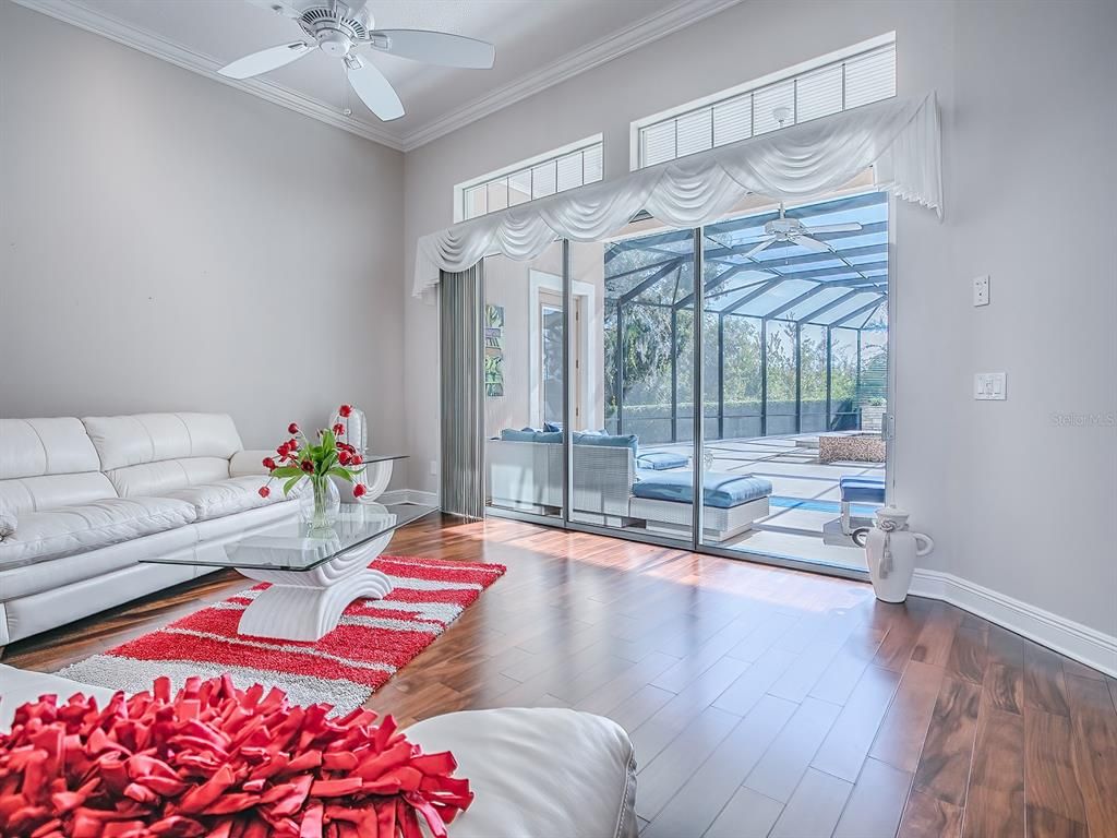 Interior, Living room, Sun Room, Wood Texture Flooring