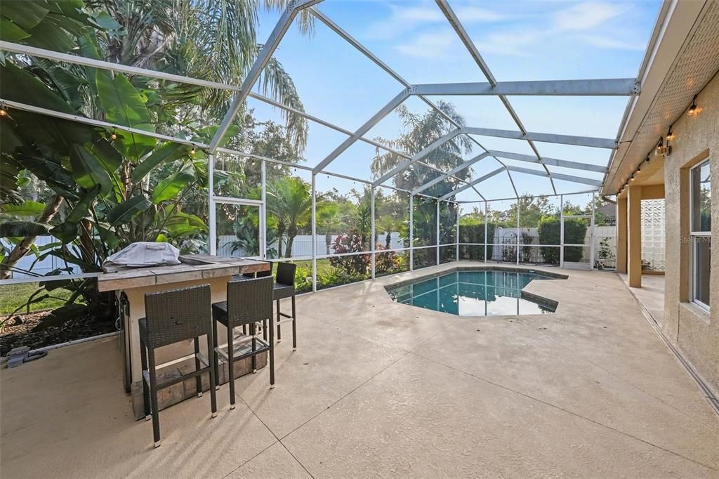 Glass Ceilings, Interior, Pool, Sun Room