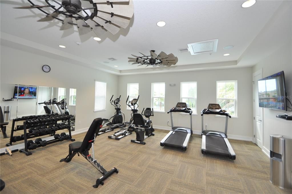 Fitness Equipment, Gym, Interior, Recessed Lighting, Wood Texture Flooring