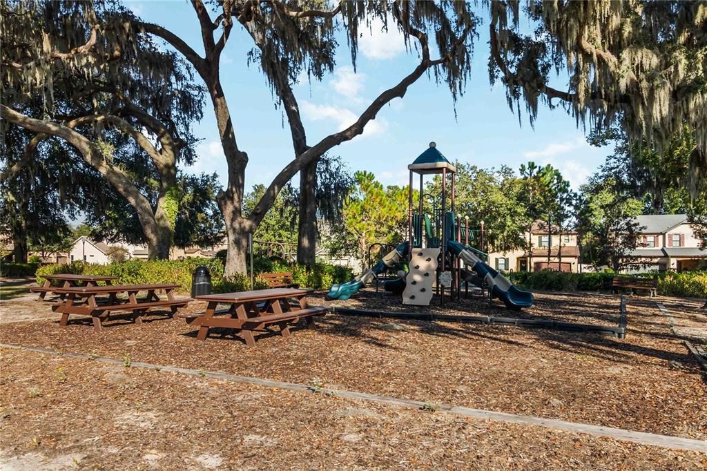 Backyard, Exterior, Playground