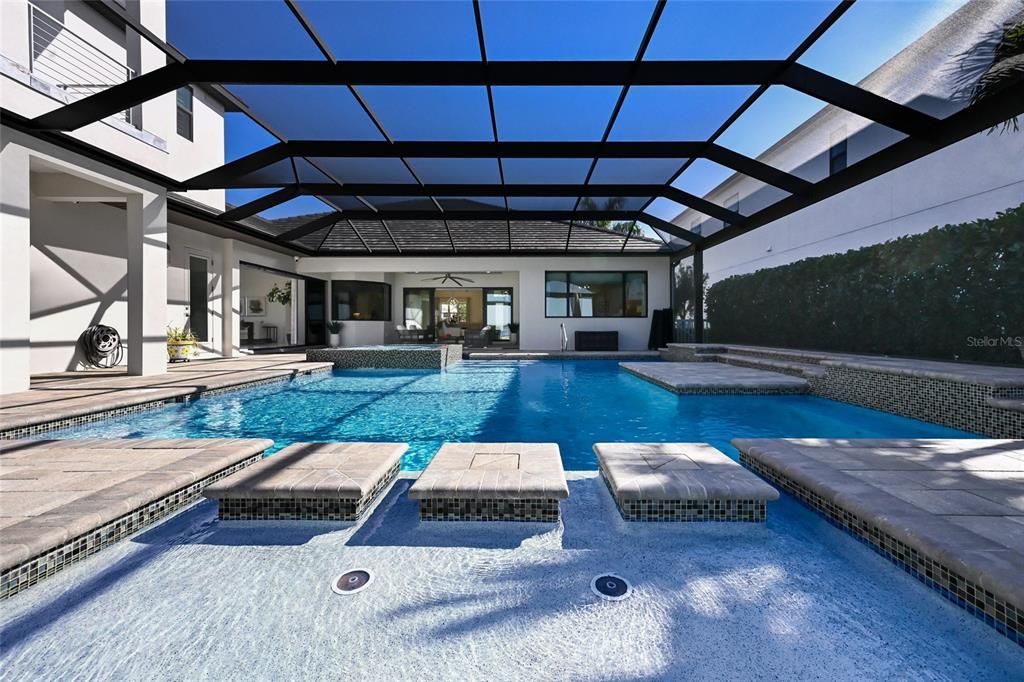 Glass Ceilings, Interior, Pool, Sun Room