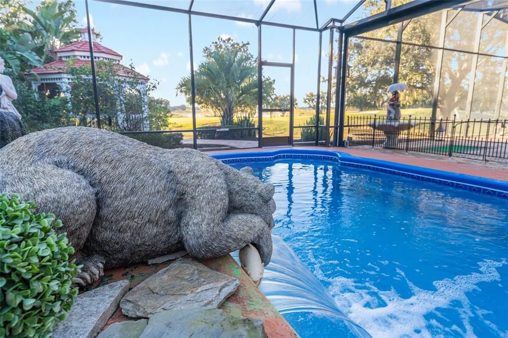 Glass Ceilings, Interior, Pool, Sun Room