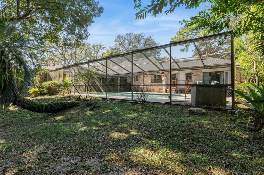 Backyard, Exterior, Pool