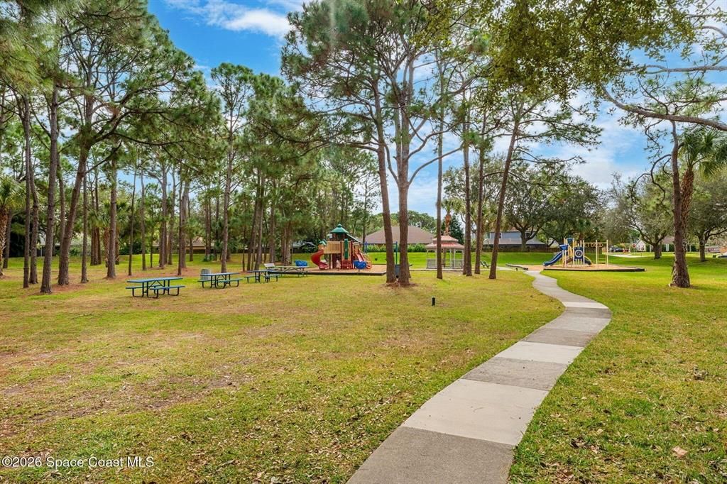 Backyard, Exterior, Playground