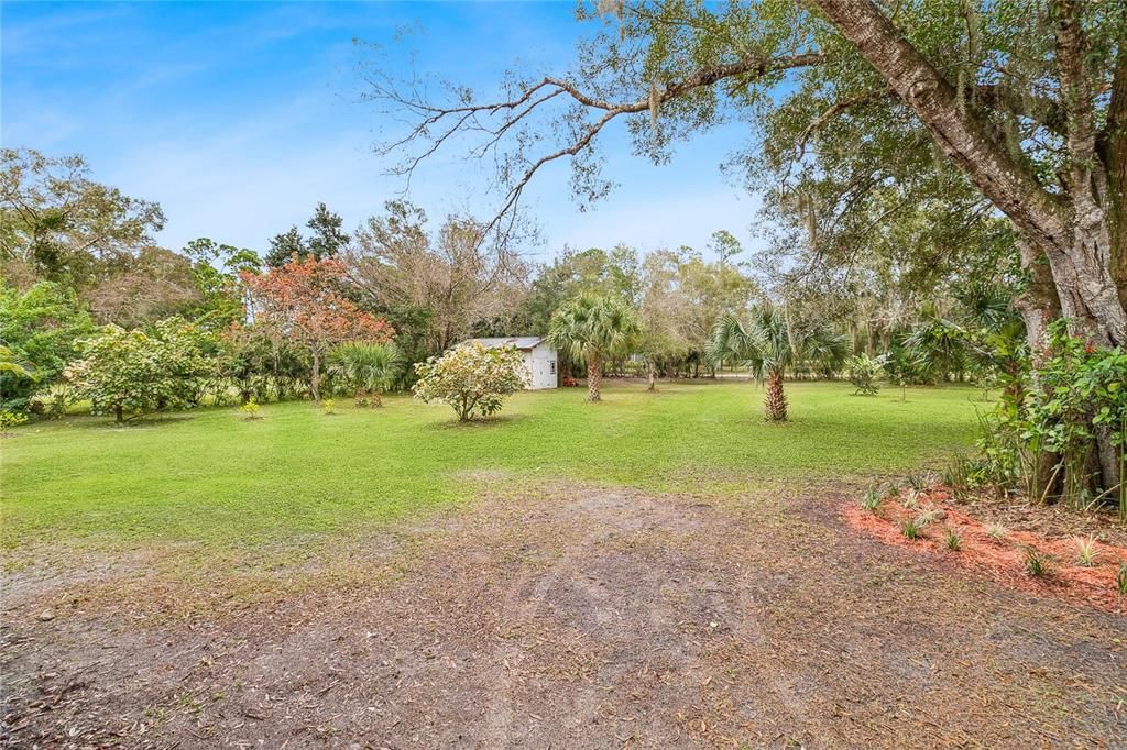 Backyard, Detached Garage, Exterior