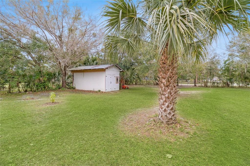 Backyard, Detached Garage, Exterior