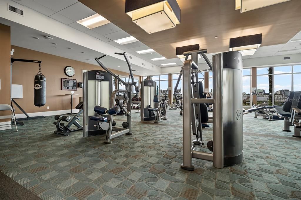 Fitness Equipment, Gym, Interior, Recessed Lighting